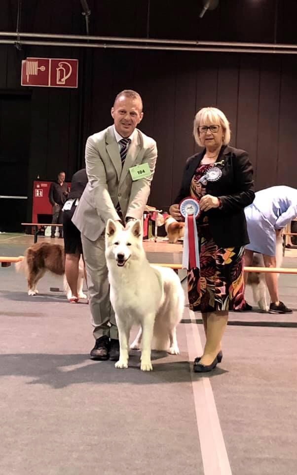 Of White Swan - Lili meilleur de race au Luxembourg 