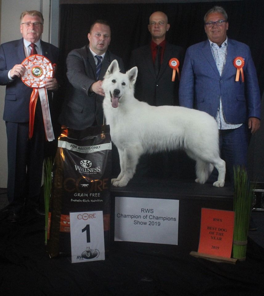 Of White Swan - Atlayan's Diams meilleur chien de l'année en Allemagne RWS