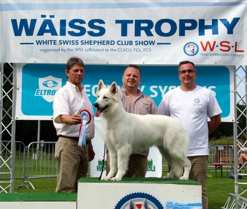 Of White Swan - Notre Diams remporte le BOS à la Waiss Trophy 2018