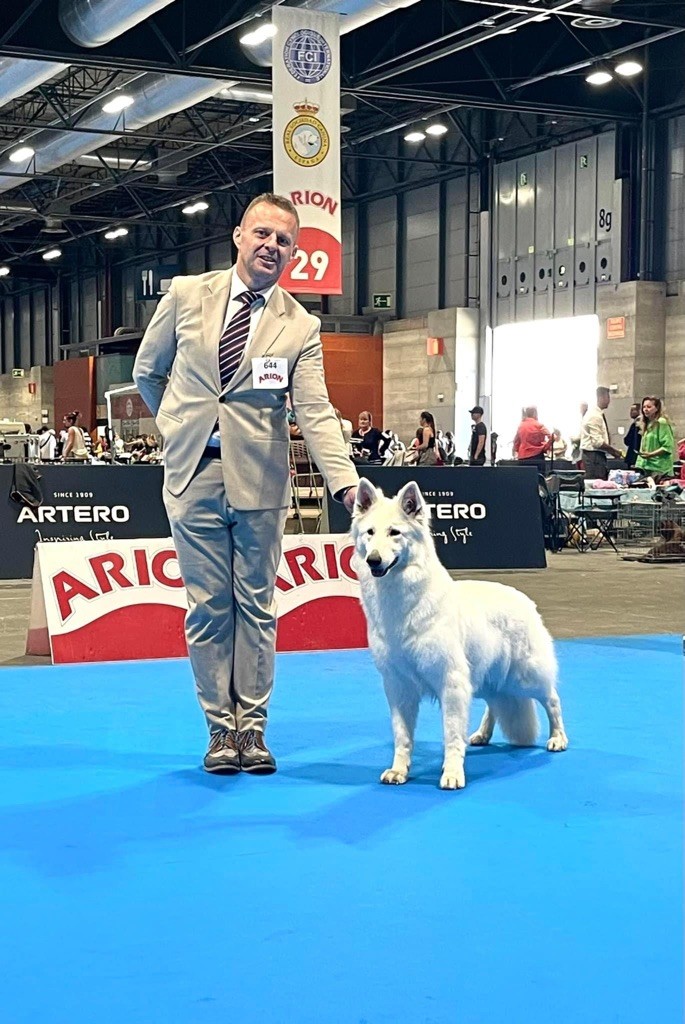 Of White Swan - Championnat du monde à Madrid