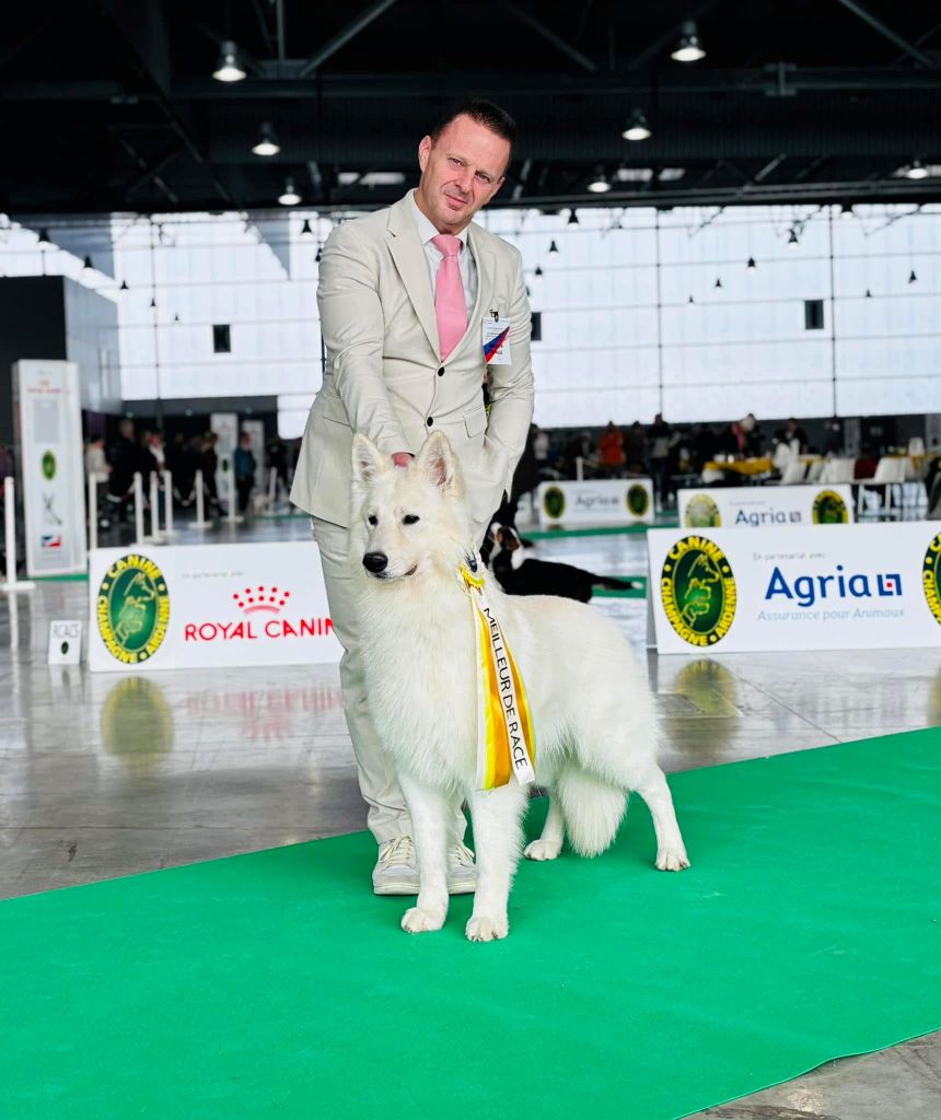 Of White Swan - Kako remporte le meilleur de race à Chalons en Champagne