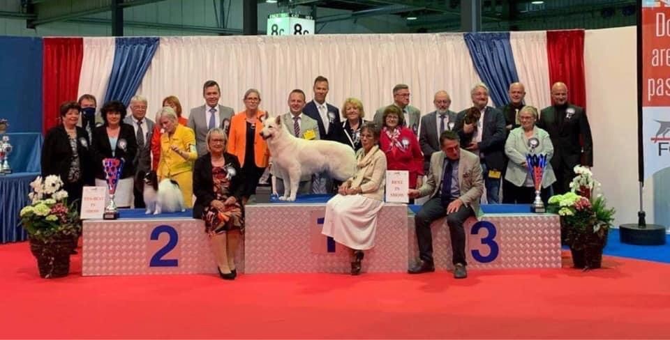 Of White Swan - Lili remporte le Best in show au Luxembourg 