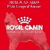  - Royal canin sponsor officiel de Juan Aiko 