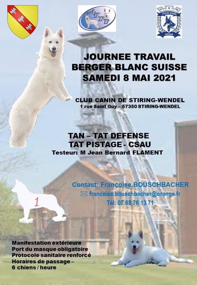 Of White Swan - Journée de travail le 8 mai 2021 spéciale BBS