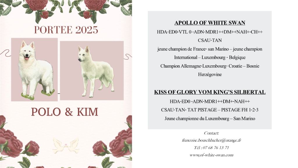Mariage Polo et Kim naissance septembre 2025